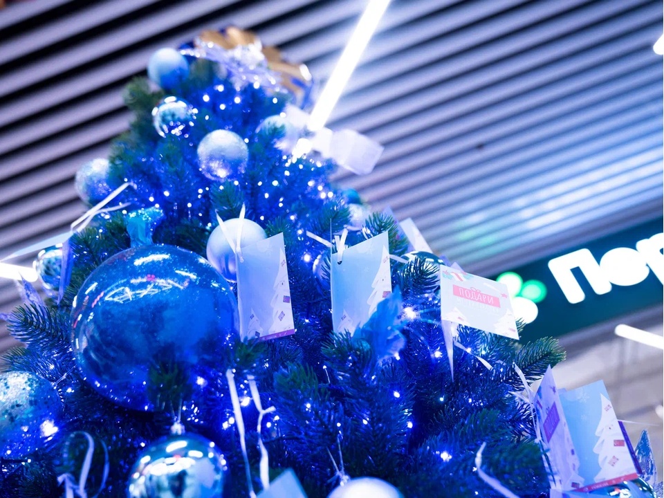 Фото: REGIONS/Наталия Надточая