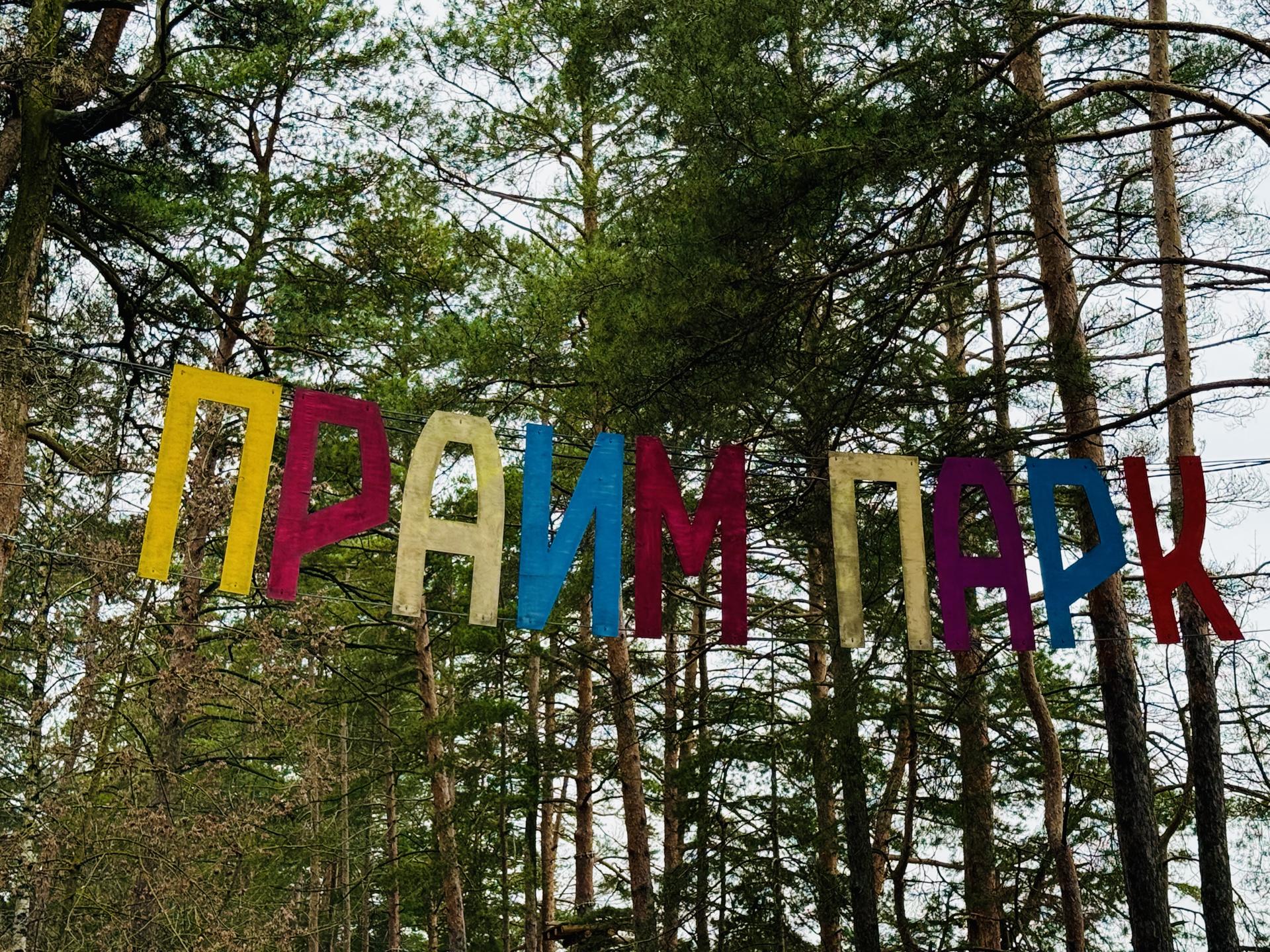 Фото: МедиаБанк Подмосковья/Ольга Стаферова