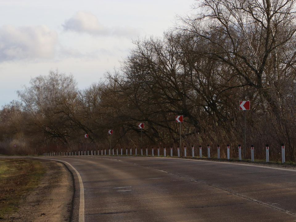 Фото: REGIONS/Ирина Матвеева