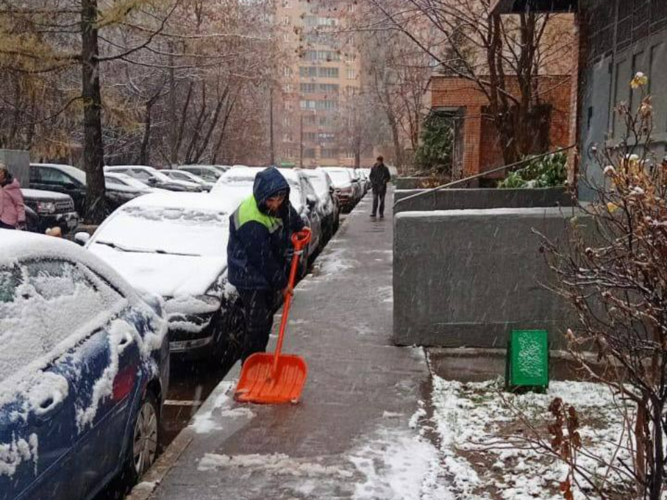 Фото: пресс-служба администрации г.о. Химки