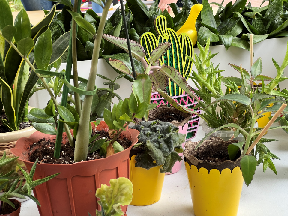 Фото: МедиаБанк Подмосковья/Ерофеева Валерия