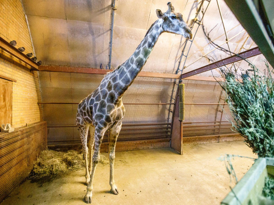 Фото: медиасток.рф