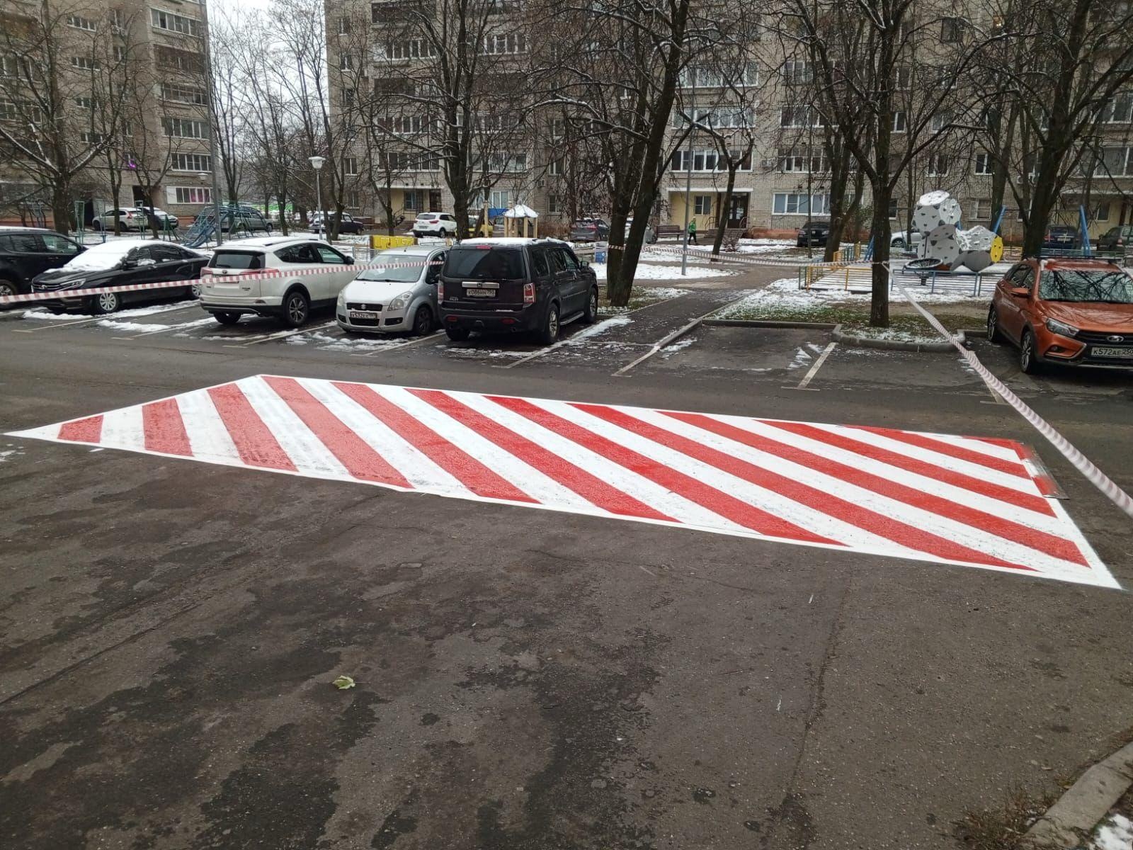 Фото: пресс-служба администрации г.о. Черноголовка