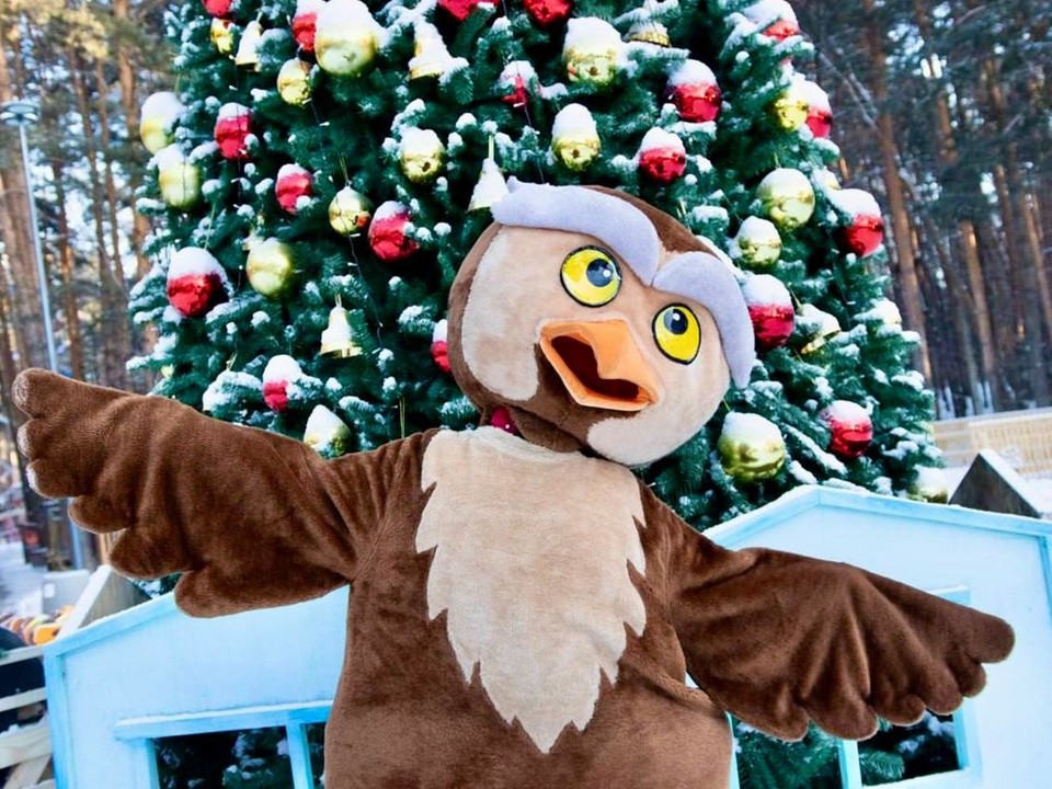 Фото: пресс-служба губернатора и правительства Московской области