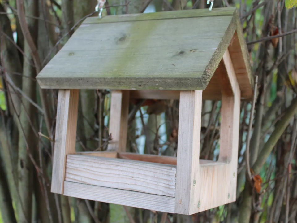 Фото: REGIONS/Илья Попов