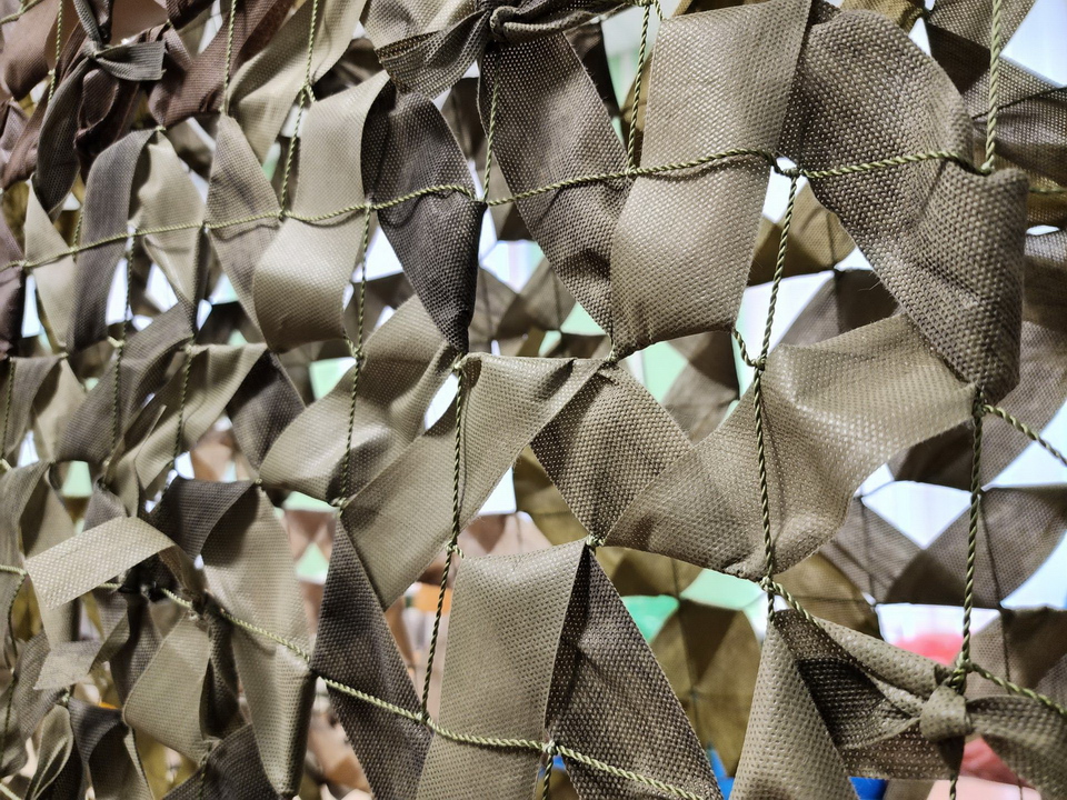 Фото: МедиаБанк Подмосковья/Ксения Пашуто