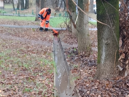 Фото: пресс-служба администрации Наро-Фоминского г.о.             