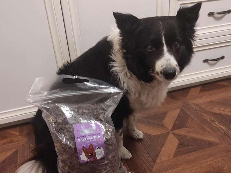 Фото: предоставлено хозяйкой собаки 