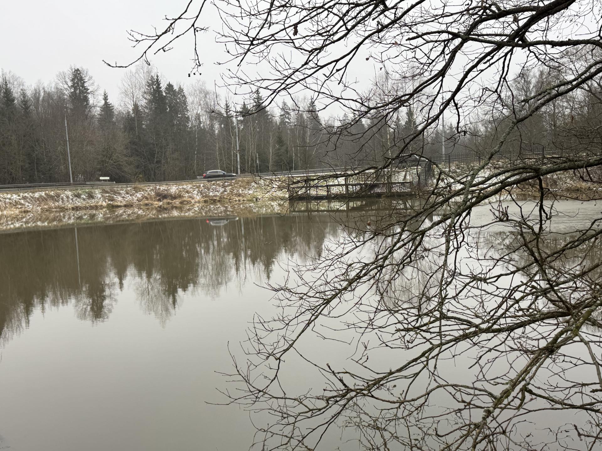 Фото: Татьяна Сташенко