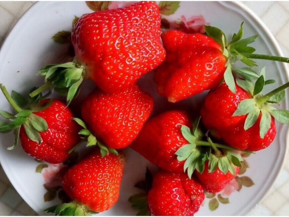 Фото: REGIONS/Людмила Матвиенко