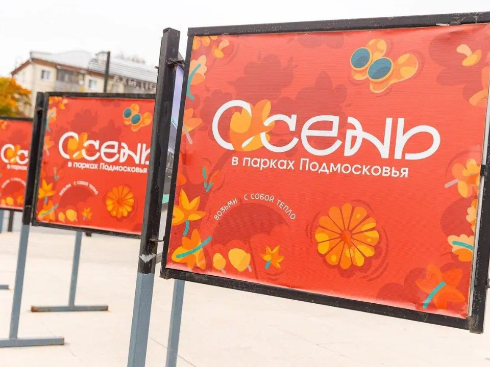 Фото: пресс-служба администрации Орехово-Зуевского городского округа 