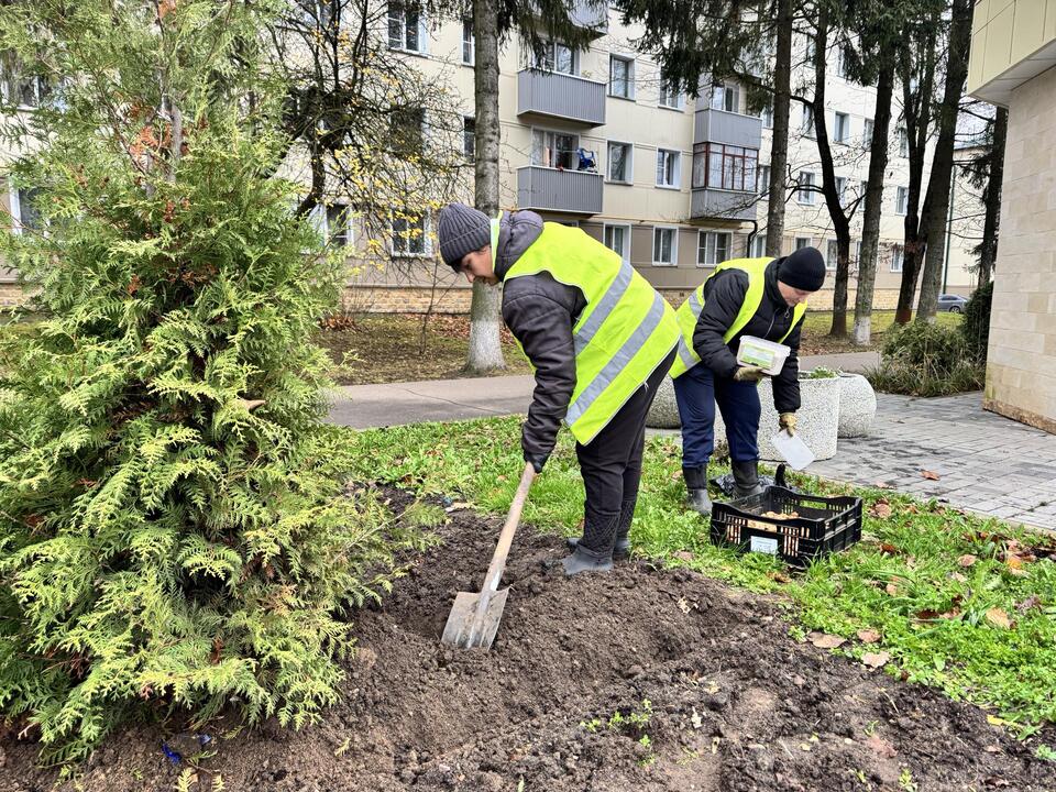Фото: МедиаБанк Подмосковья/Татьяна Рунова