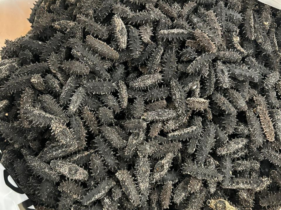 Фото: пресс-служба ФТС России