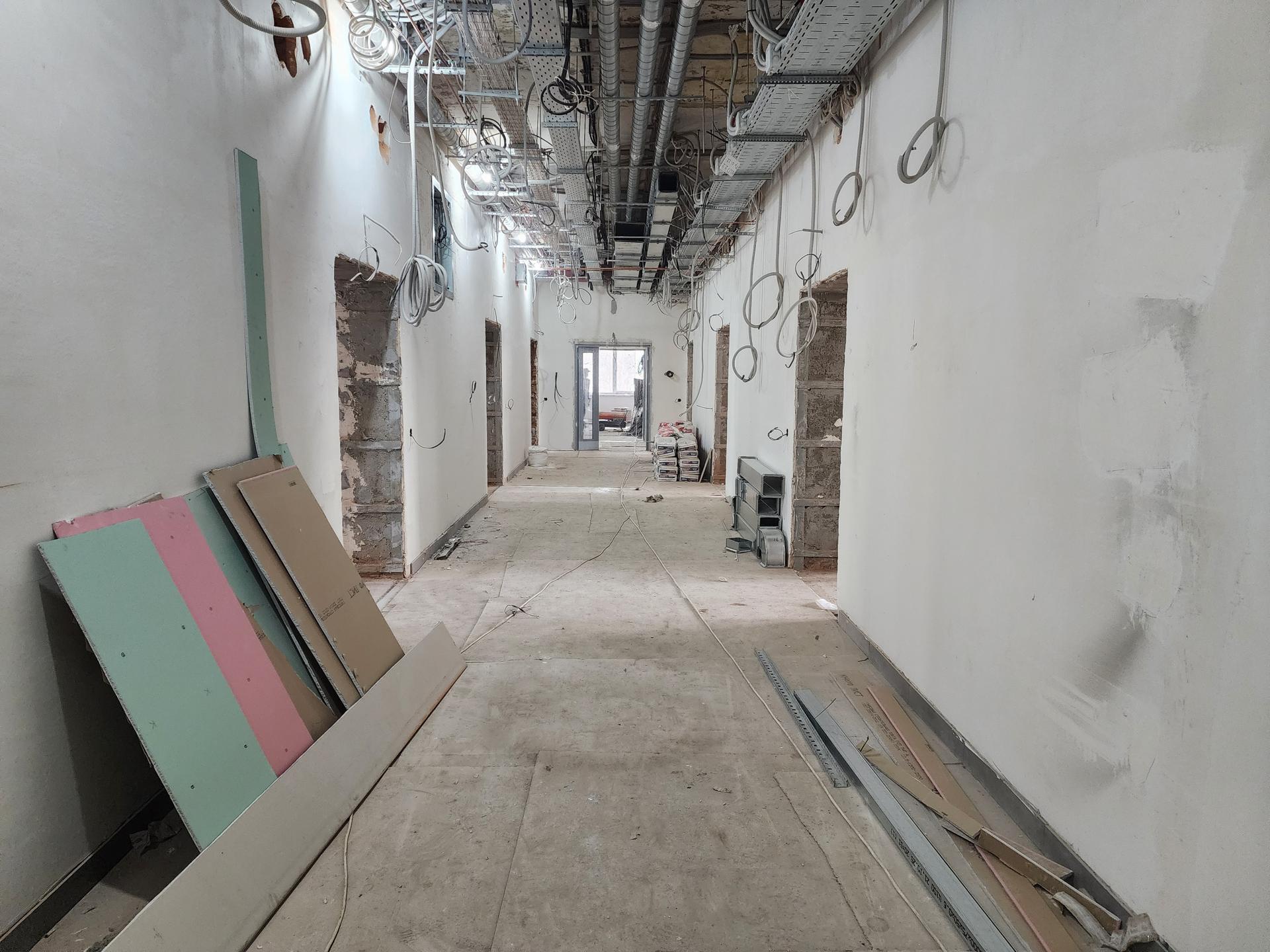 Фото: МедиаБанк Подмосковья/Ирина Моисеева