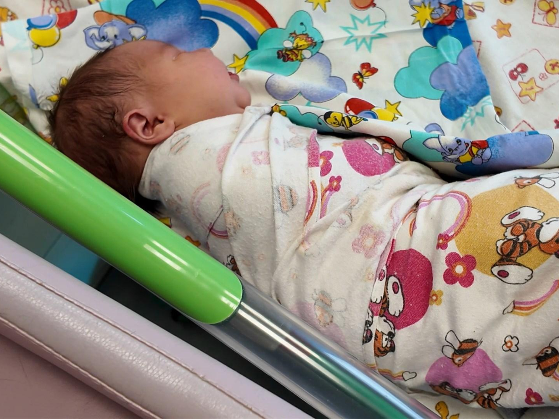 Фото: Раменский медиацентр