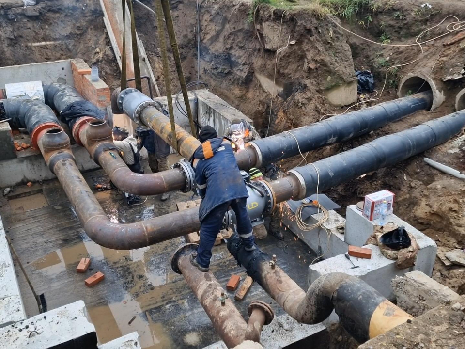 Фото: Виктория Фортуна