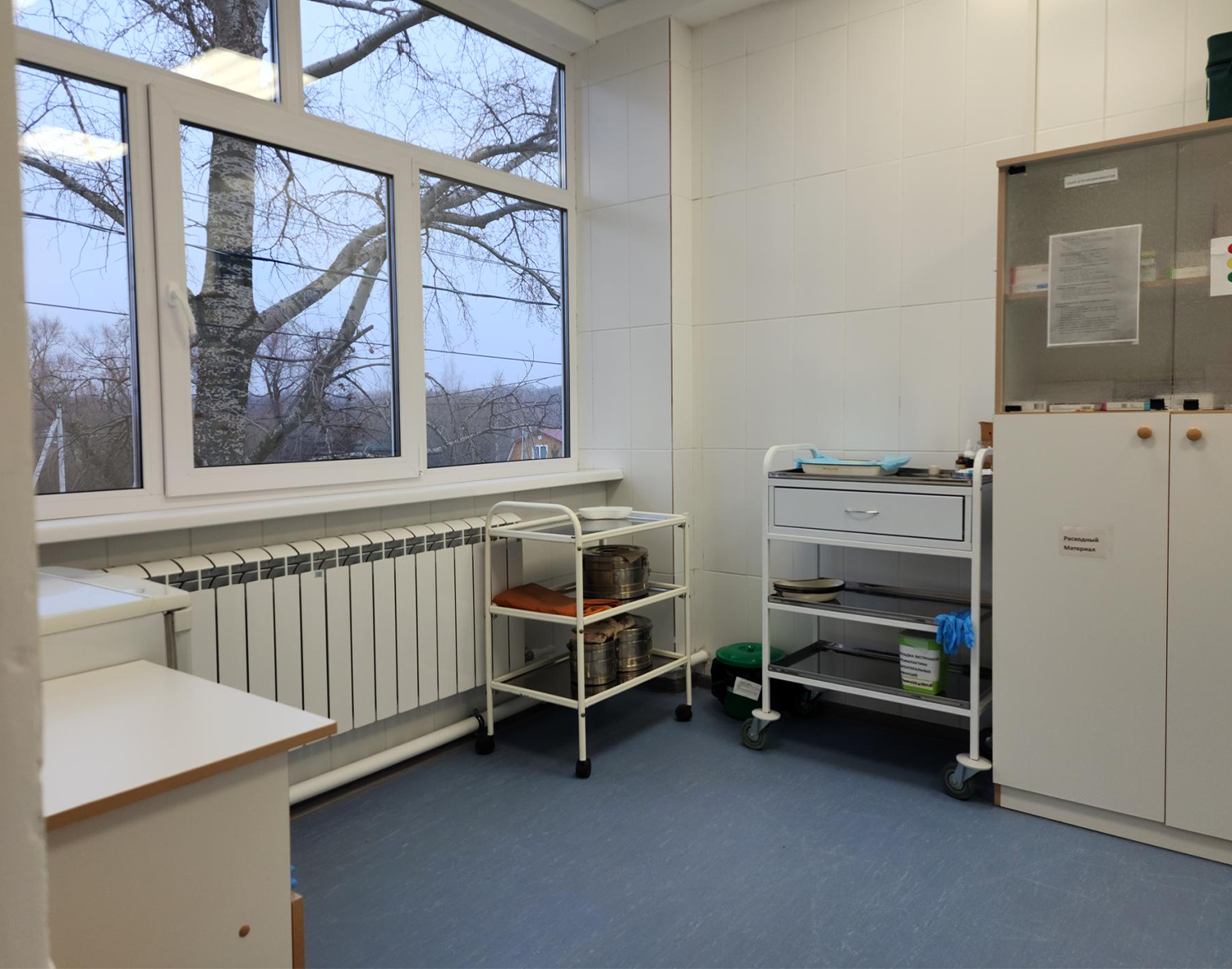 Фото: МедиаБанк Подмосковья/Татьяна Кострикина