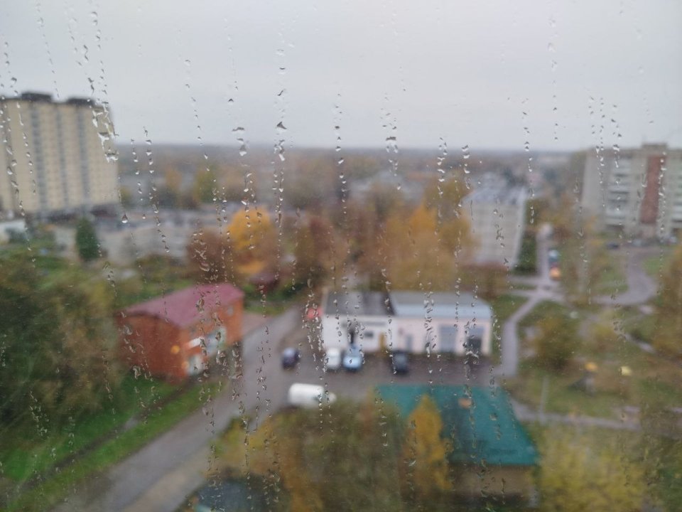 Фото: REGIONS/Наталья Дорофеева