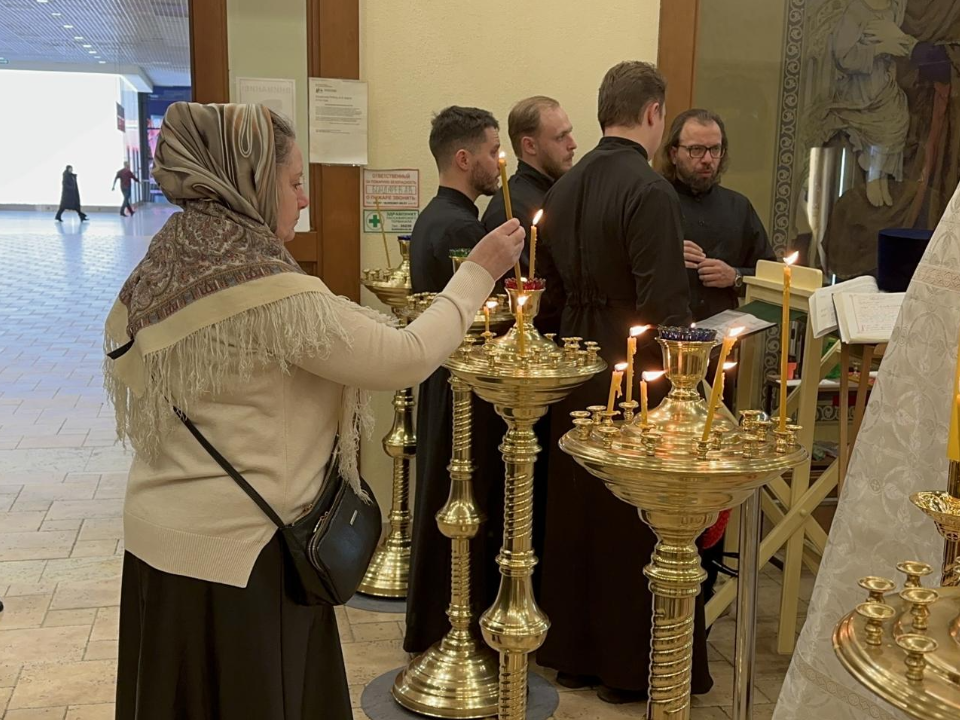 Фото: МедиаБанк Подмосковья/Эдуард Стратонов