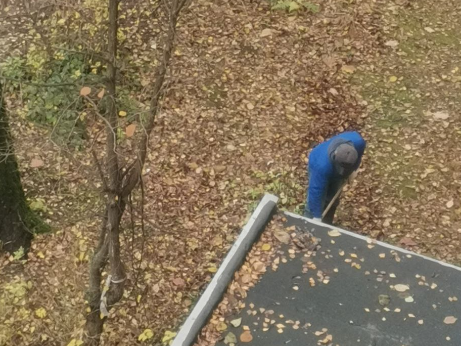 Фото: Любовь С. 