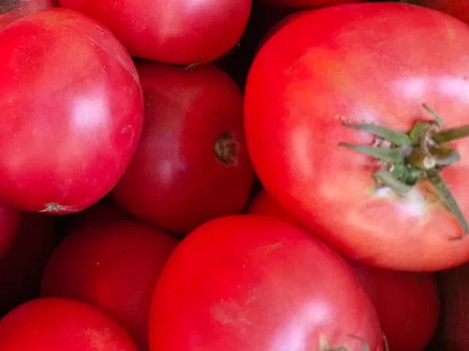 Фото: REGIONS/Наталия Надточая