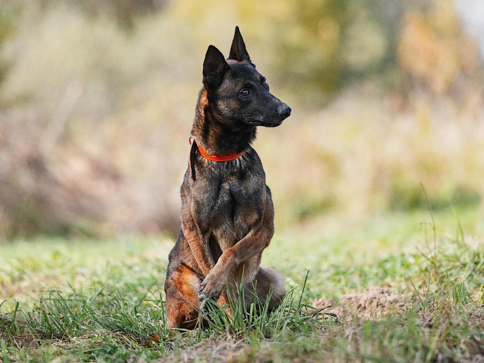 Фото: личный архив Натальи Пановой