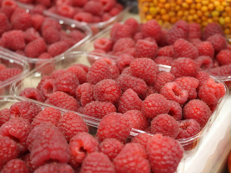 Фото: REGIONS/Анастасия Широкая