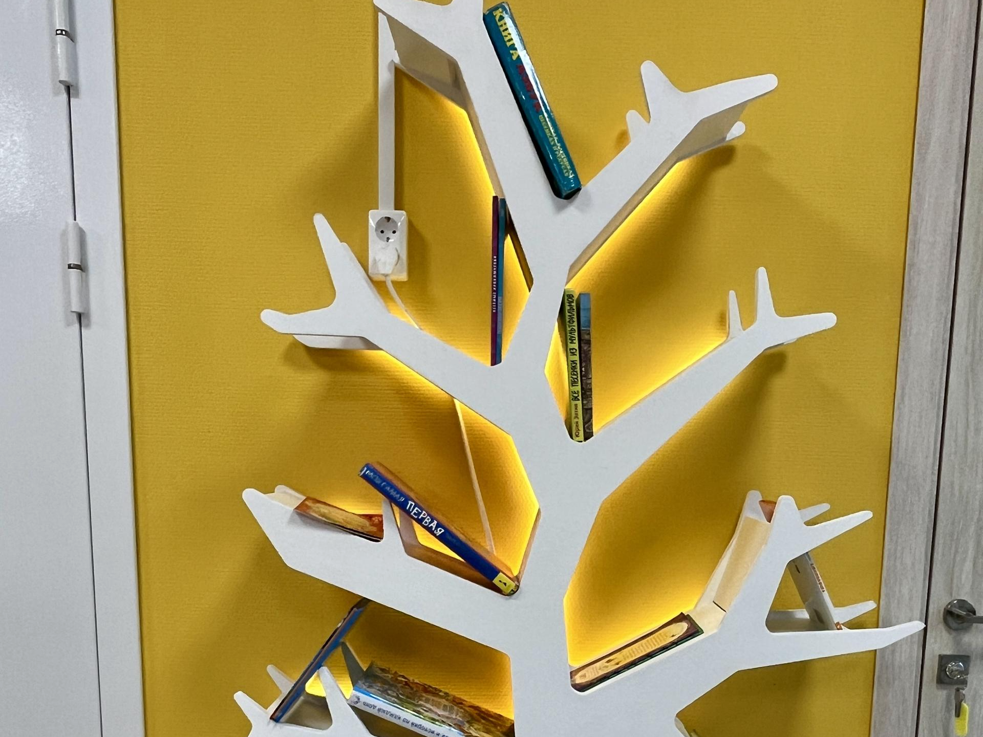 Фото: Анна Тюрюмина            