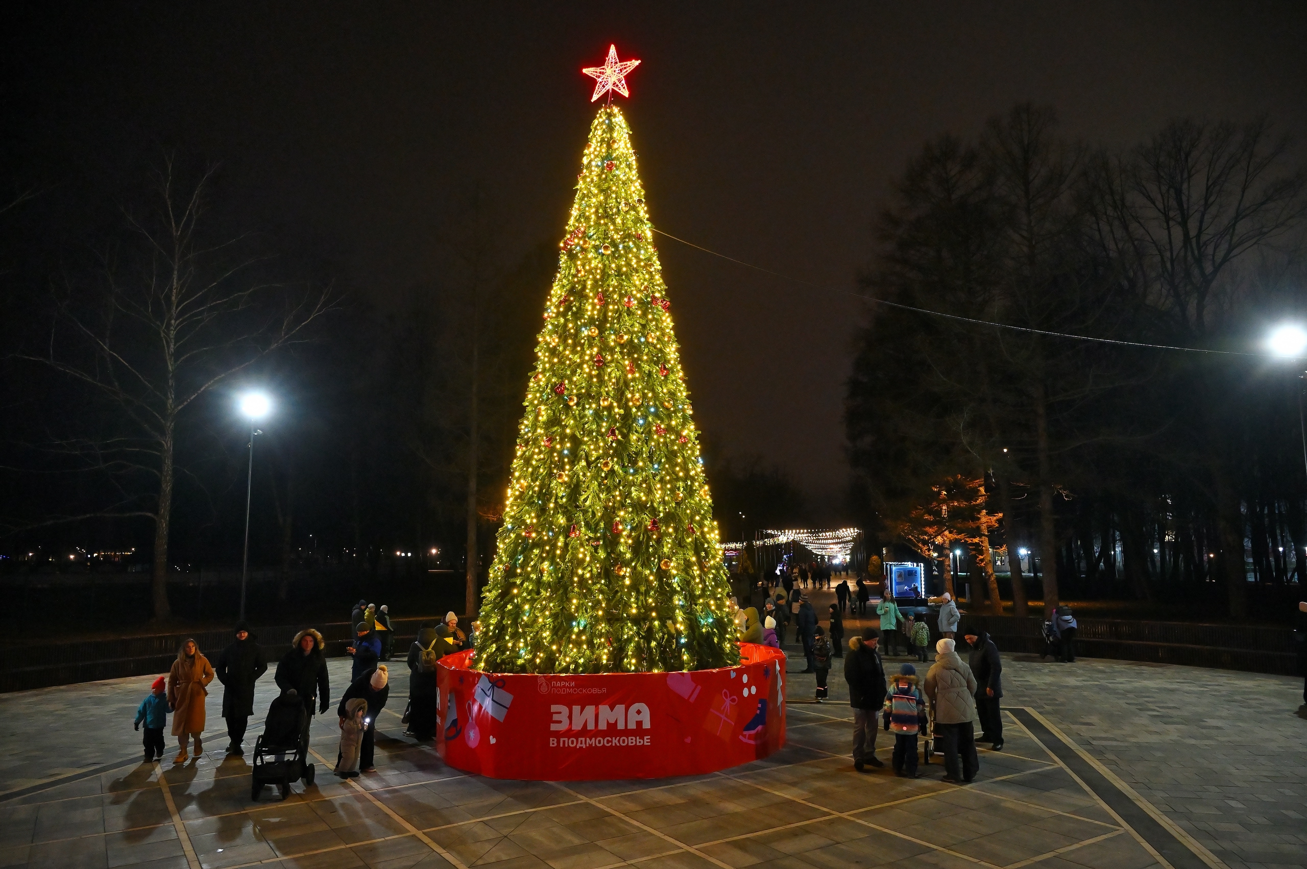 Фото: Сергей Демянюк