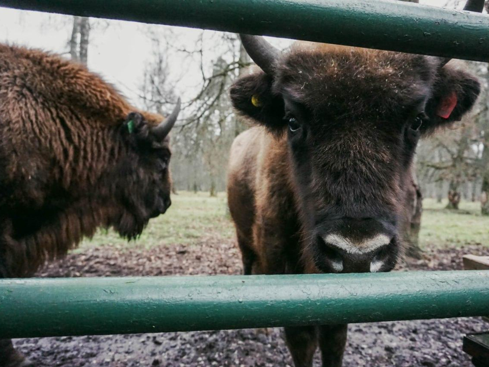 Фото: медиасток.рф