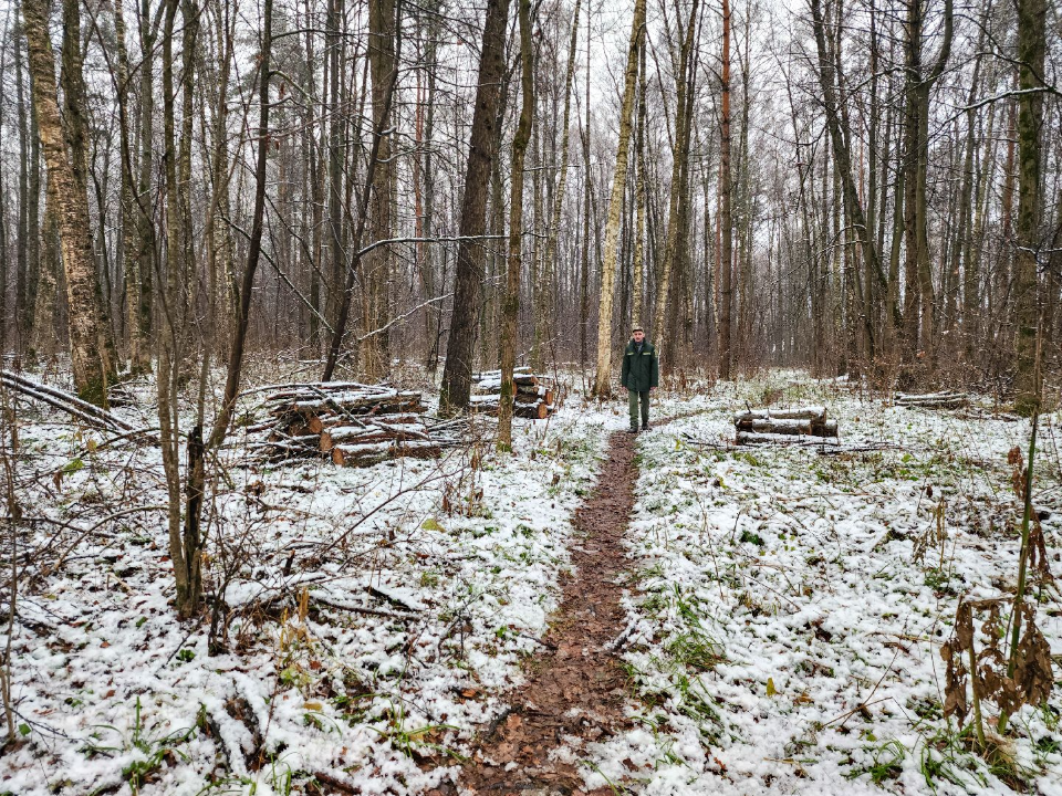 Фото: МедиаБанк Подмосковья/Мария Андрюхина