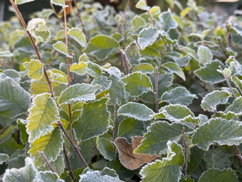 Фото: REGIONS/Илья Попов