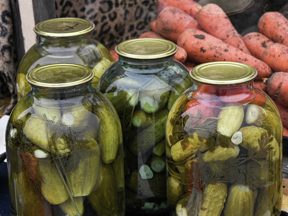 Фото: РИА Новости/Виталий Аньков