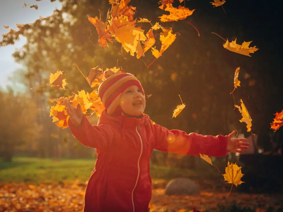 Фото: REGIONS/Владимир Ерастов