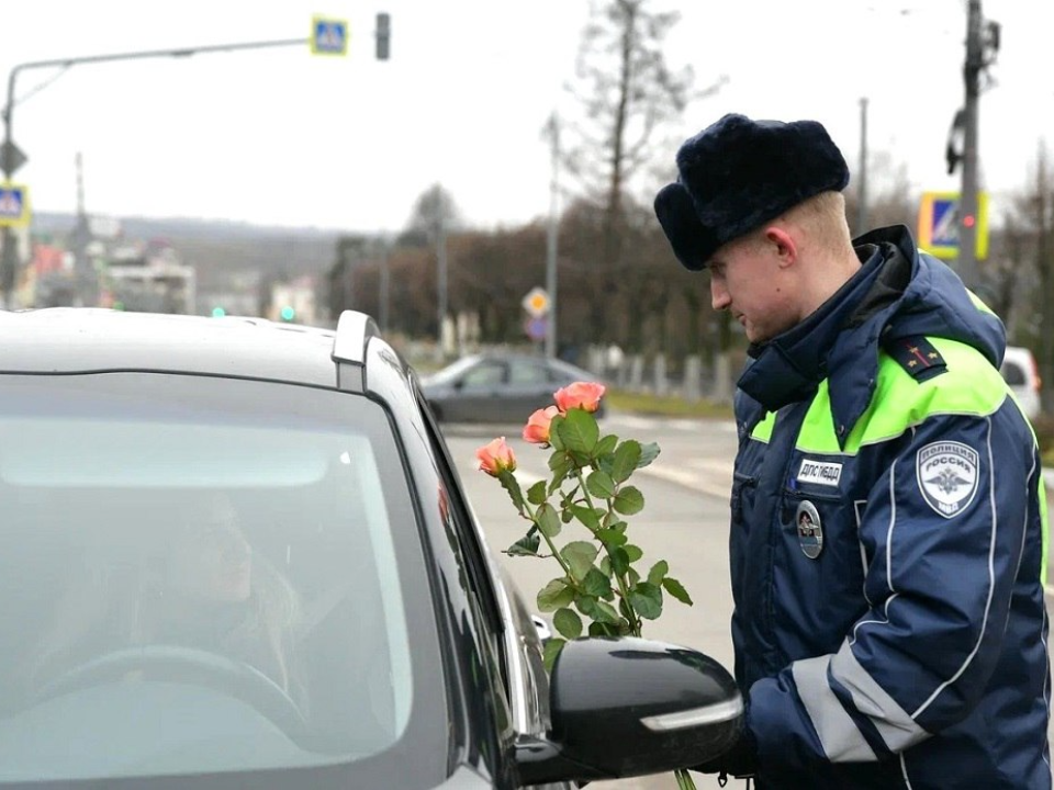 Фото: пресс-служба УМВД России «Дмитровское»