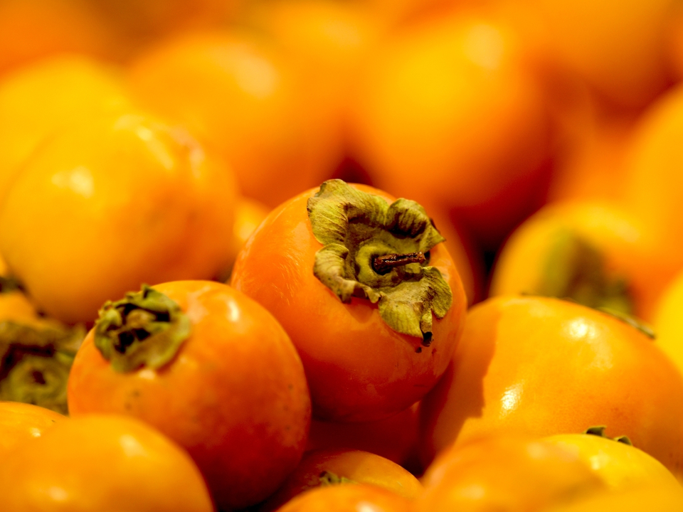 Фото: РИА Новости/Владимир Астапкович