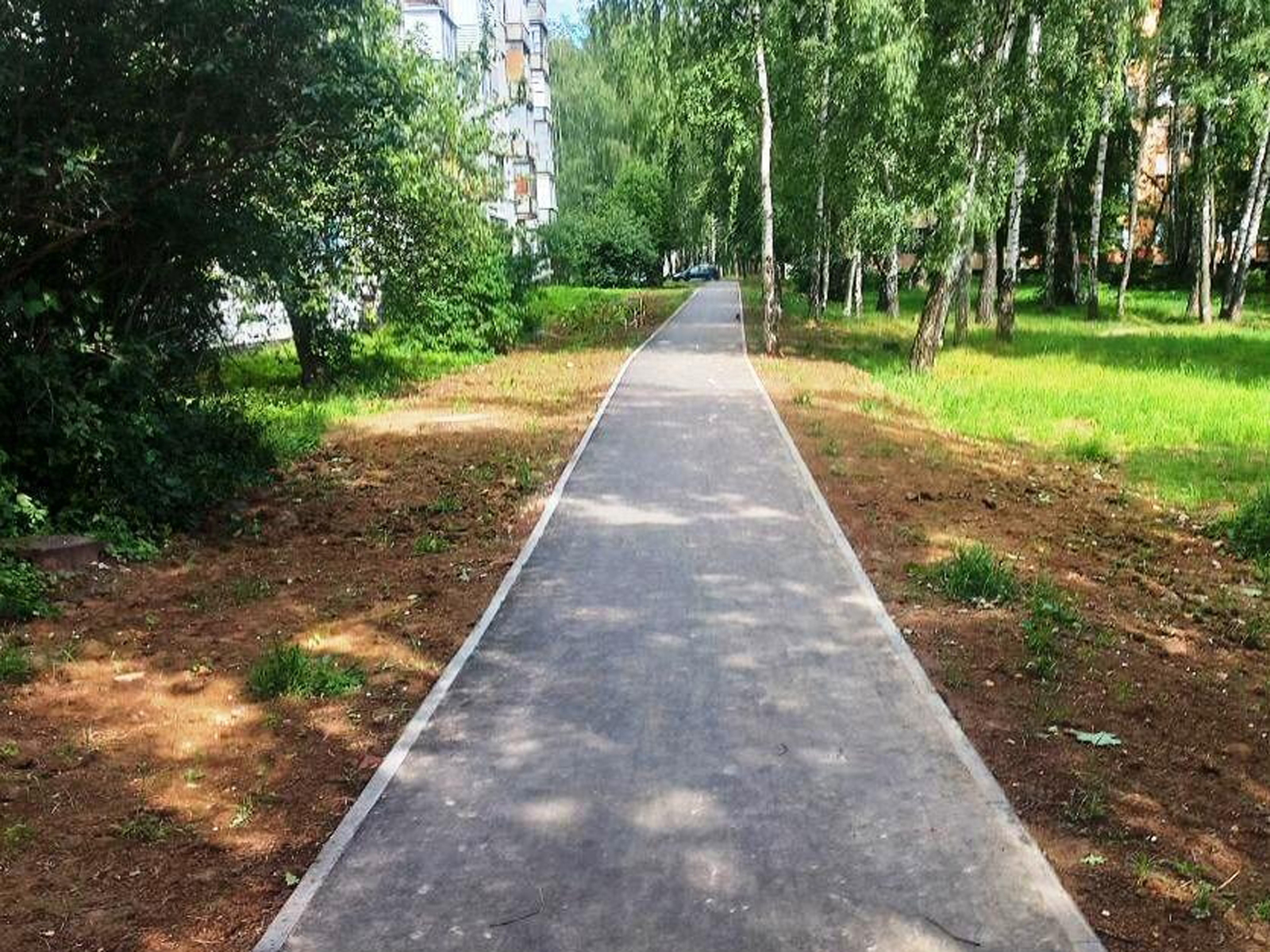 Фото: пресс-служба администрации г.о. Ступино