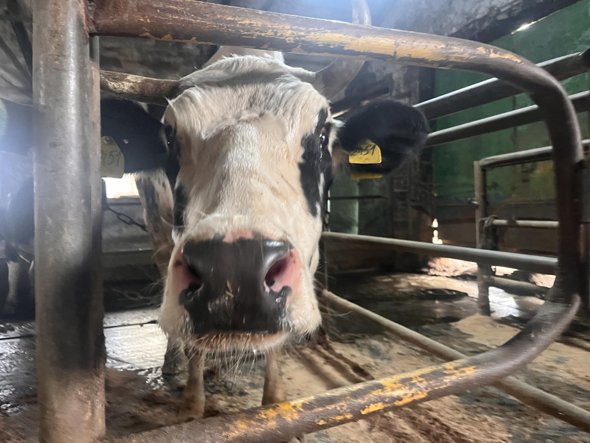 Фото: МедиаБанк Подмосковья/Ангелина Стельмух