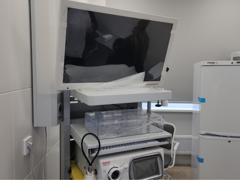 Фото: МедиаБанк Подмосковья/Наталья Лымарь