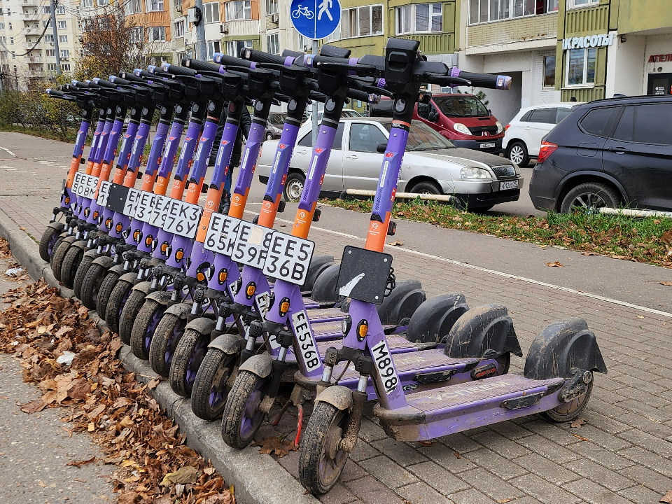 Фото: МедиаБанк Подмосковья/Максим Сафронов