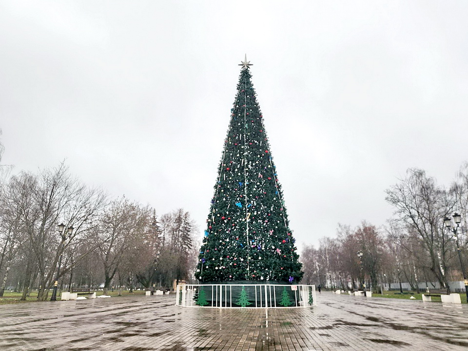 Фото: МедиаБанк Подмосковья/Ксения Пашуто