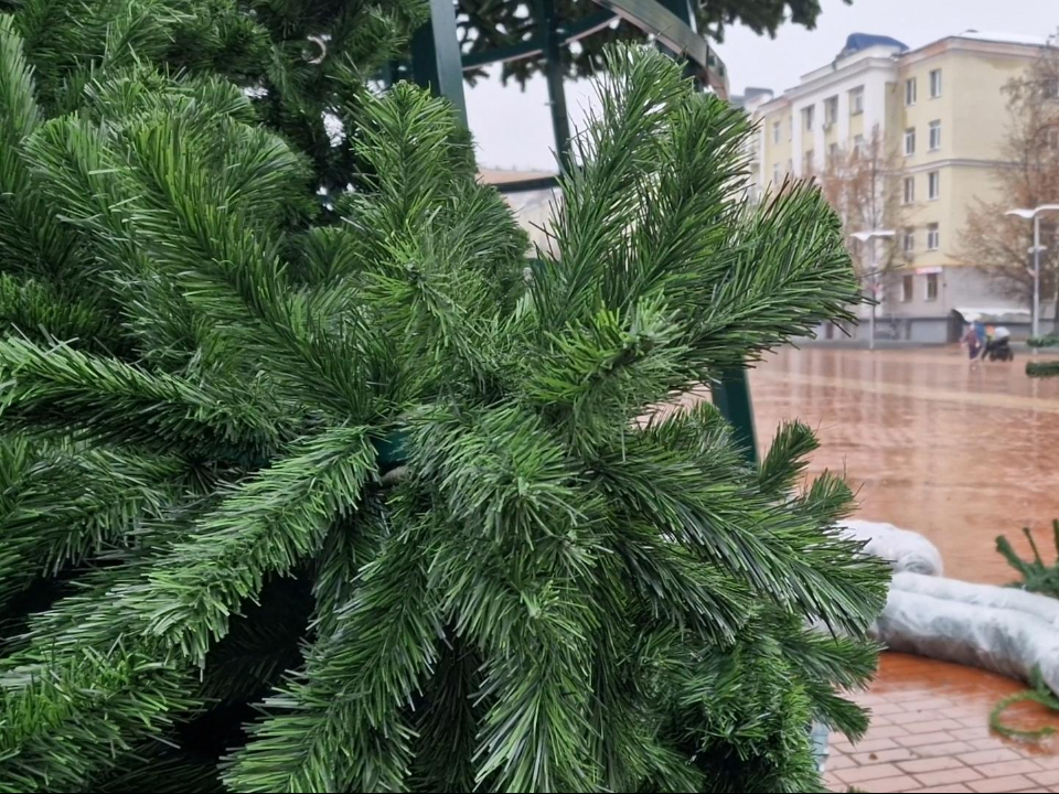 Фото: Виктория Фортуна