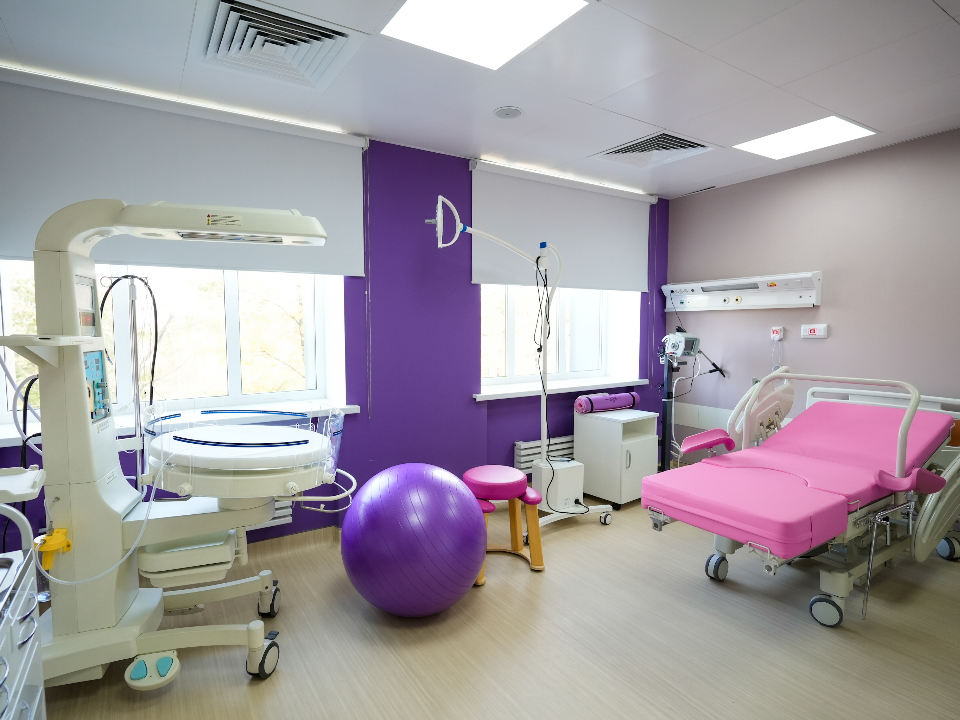 Фото: пресс-служба губернатора и правительства Московской области/Александра Степанова