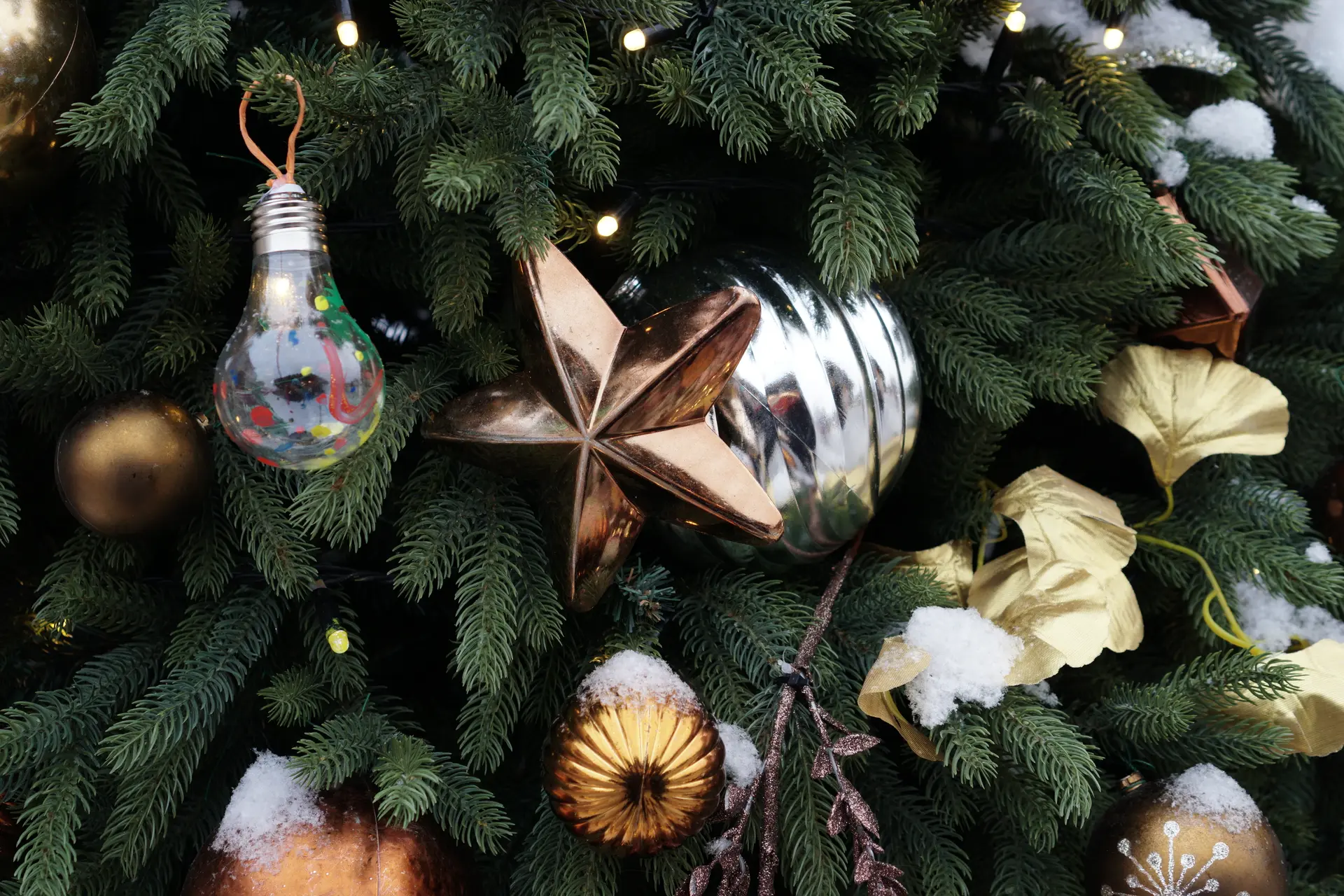 Фото: REGIONS/Дарина Левкина