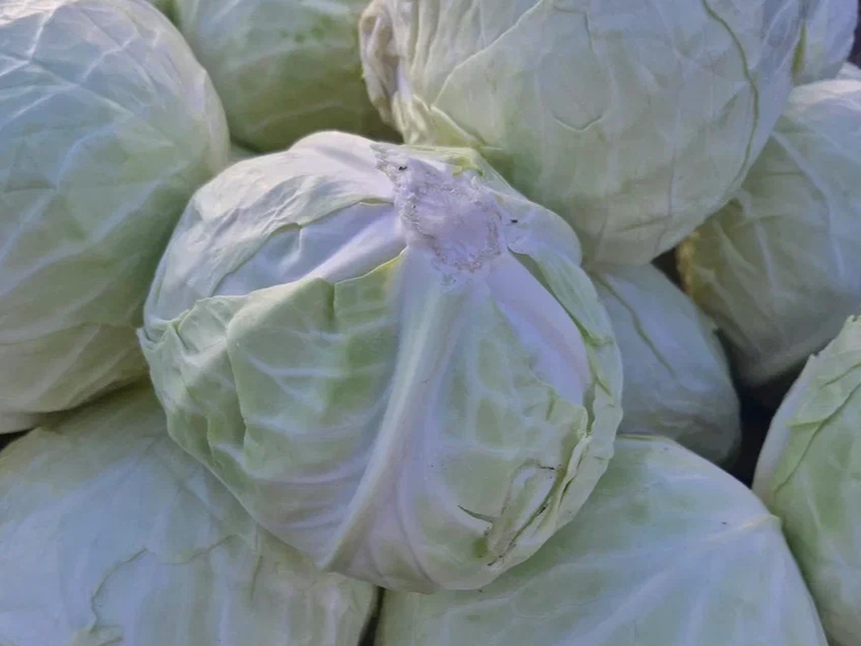 Фото: REGIONS/Наталия Надточая