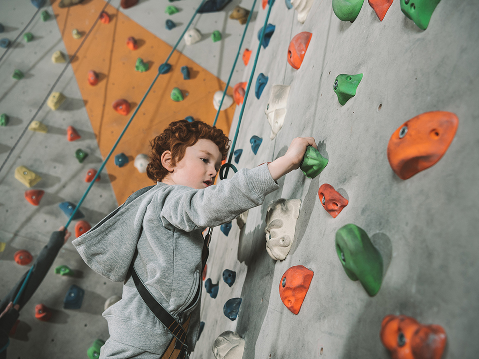 Фото: istockphoto.com/LightFieldStudios