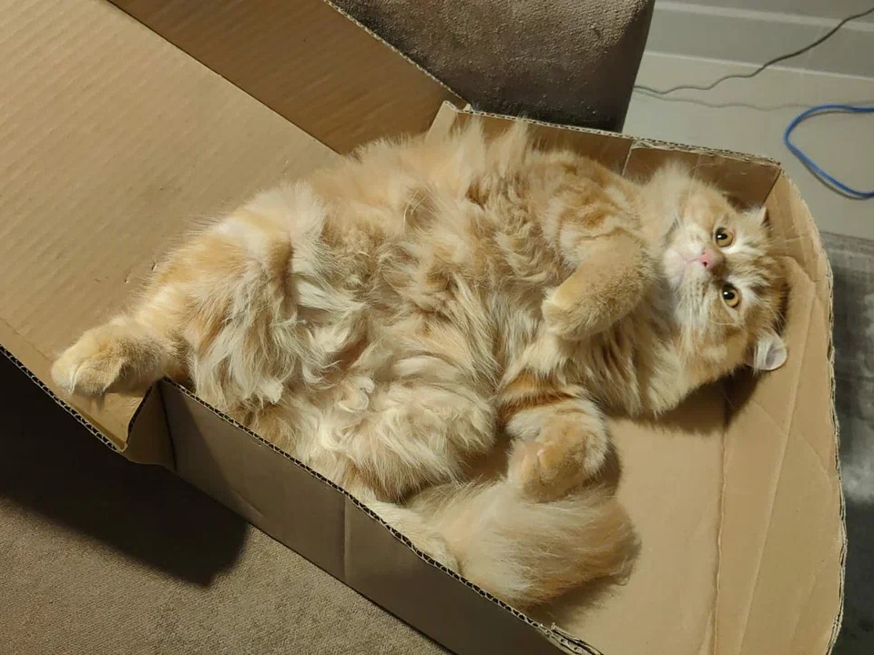 Фото: REGIONS/Наталия Надточая