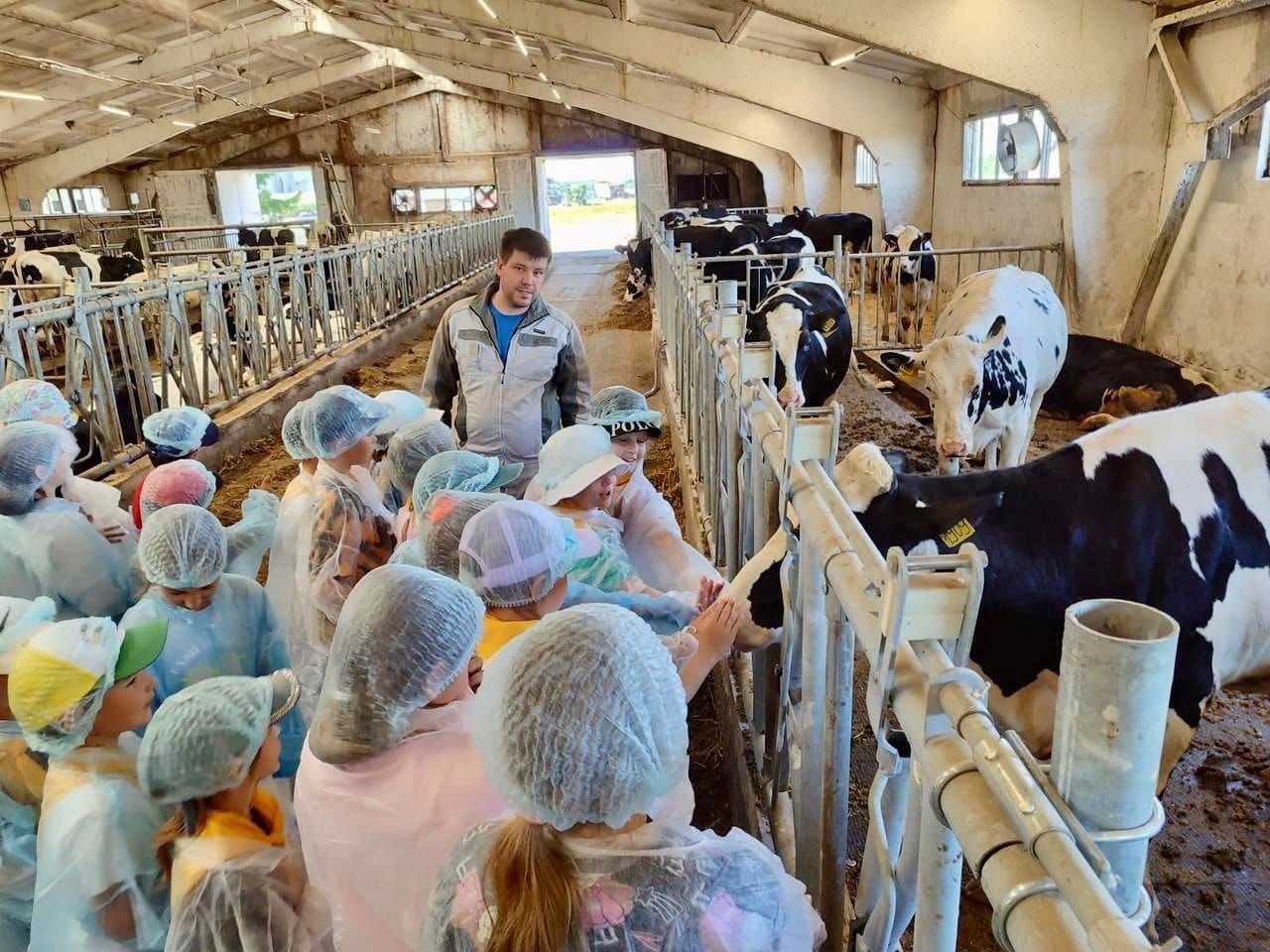 Фото: пресс-служба администрации Наро-Фоминского г.о.             