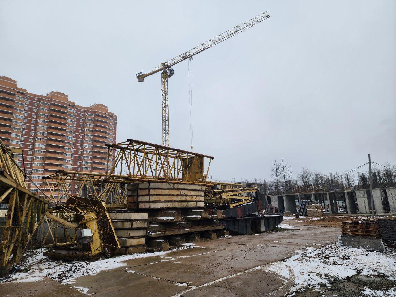 Фото: МедиаБанк Подмосковья/Ирина Кузова