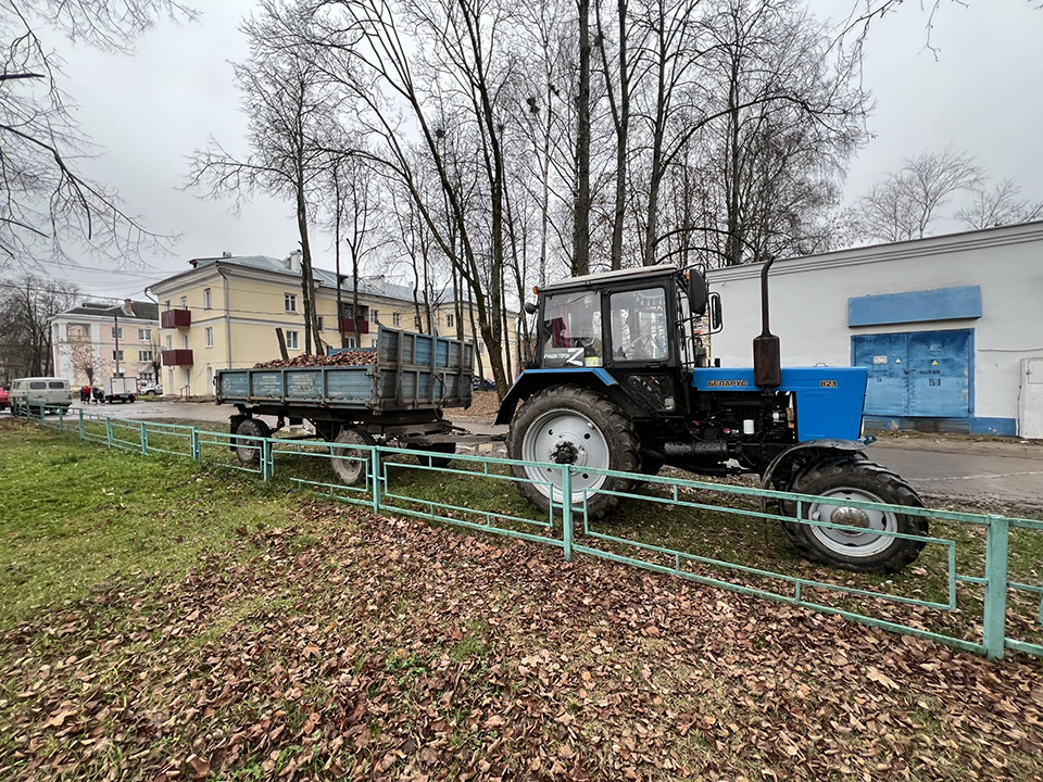 Фото: МедиаБанк Подмосковья/Аннета Юрасова